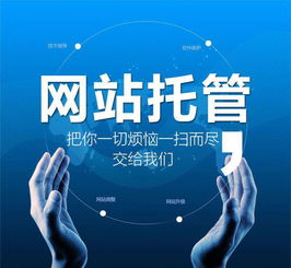三門峽saas級(jí)網(wǎng)絡(luò)營銷推薦 谷雨供