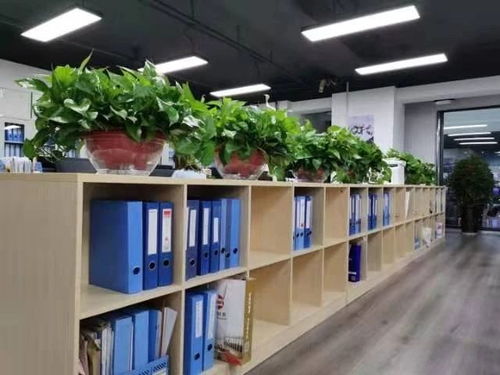 西安咸陽及周邊地區(qū)公司注冊與專業(yè)服務全解析 從工商注冊到代理記賬、審計、食品勞務派遣